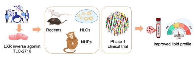 First-in-human drug trial lowers high blood fats