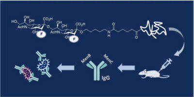 Fluorinated sugar molecules as vaccine leads against meningitis B and C