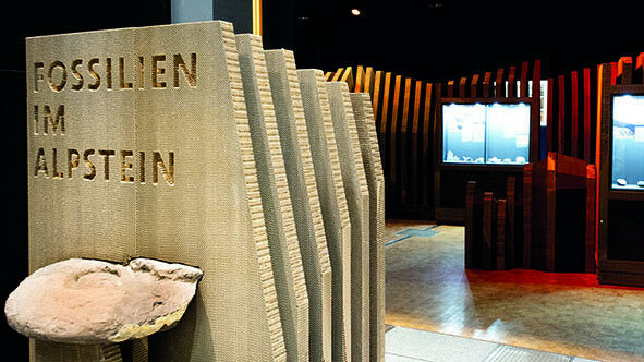 The showcases with the exhibits, designed in Ecocell, reproduce the three Alpste