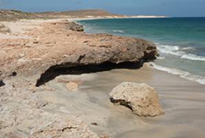 Fossils reveal ice sheet vulnerability to global warming