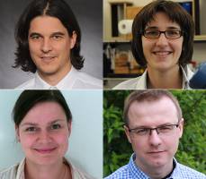 Four ERC Starting Grants for Uni W�rzburg