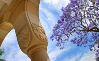 Four extraordinary individuals recognised with honorary UQ awards