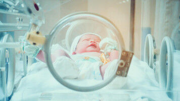 Four projects selected for the Bertarelli Foundation's Catalyst Fund