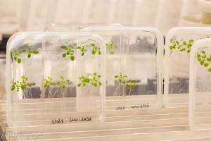 Four researchers at Ghent University win an ERC Advanced Grant