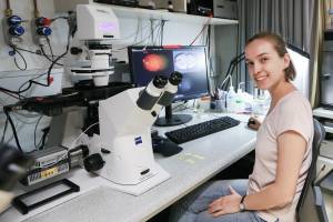 Fundamentals of life: How centrosomes direct early embryos