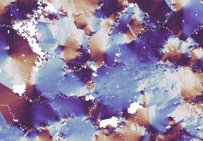 Funding for training and research in biological complexity