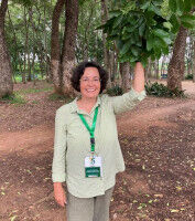 Danger to tropical forests from overexploitation, deforestation and pollution