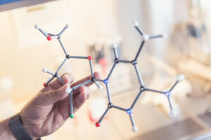 Gene duplication and disease: the downside of specialization