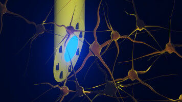 Gentle implant can illuminate, listen, and deliver medication to the brain