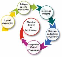 German Research Foundation approves new Research Training Group