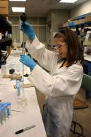 Gifted 14-year-old scientist conducts research at Cornell