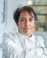 Global research network to combat deadly Strep A infections