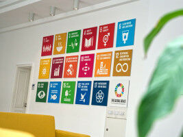 Good Results in THE Impact Rankings for Sustainability