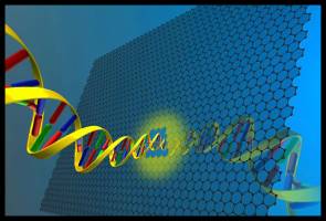 Graphene may hold key to speeding up DNA sequencing