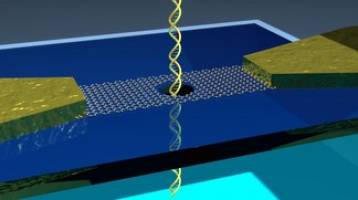 Graphene nanoribbons for 