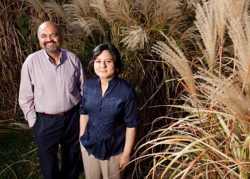 Illinois professors Atul Jain, left, and Madhu Khanna studied geographic yield a