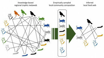 Green and blue food webs differ