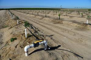 Groundwater overuse cuts San Joaquin Valley's water storage ability