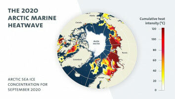 Heat Waves in the Arctic Ocean to Become Regular Occurrence in the Future