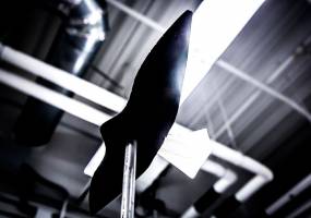 High-tech bird watching for shapeshifting airplane wings