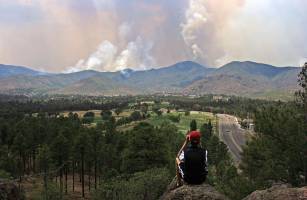 High-tech tool predicts fire behavior in bark beetle-ravaged forests