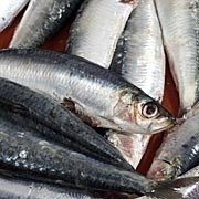 High vitamin D levels linked to lower risk of colon cancer