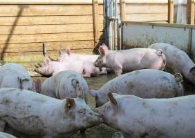 Higher Agricultural Income in 2016