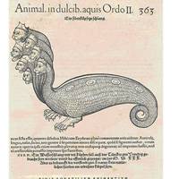 How advanced genetic techniques can unravel complex human stories