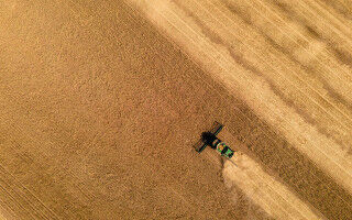 How El Ni�o may impact the world's wheat and global food supply