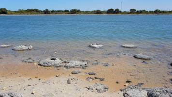 How flow shapes bacterial biofilms