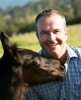 How good are your horse's brakes?