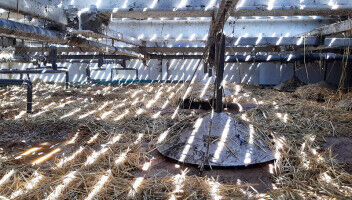 How local materials and climate shape optimal vermifilter design