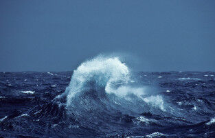 How loud is clean energy? Manchester-led study explores potential impact of underwater noise from tidal energy