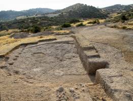 How the mouse conquered the house