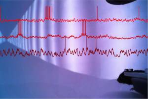 How the visual cortex combines movement and vision