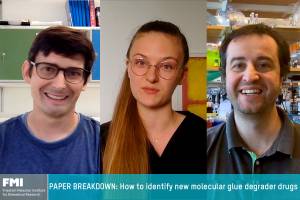 How to identify new molecular glue degraders