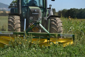 How to improve crop management in organic horticulture