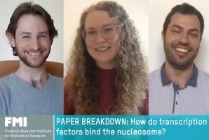 How transcription factors recognize binding motifs on chromatin