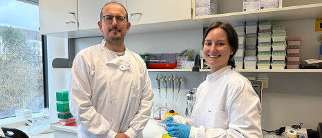 How vitamin B2 could pave the way to new cancer therapies