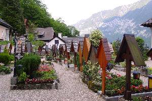 Human skull study causes evolutionary headache