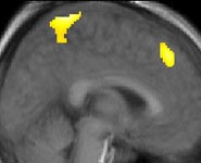 If the human brain can respond as though a computer has a mind, that&rsquo;s pro