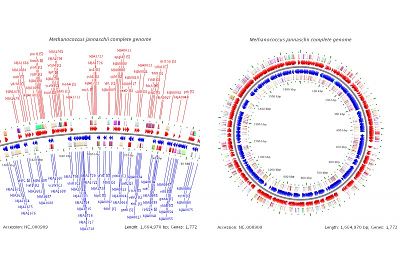 University of Illinois composer Stephen Taylor wrote new music that represents t