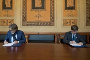 In-depth research in cell analysis with Artificial Intelligence