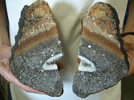 Indian Ocean cocktail party leaves trail of party hats behind