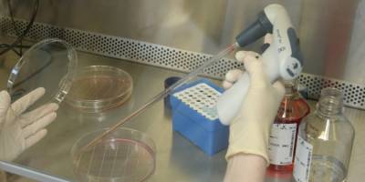 Information about the coronavirus