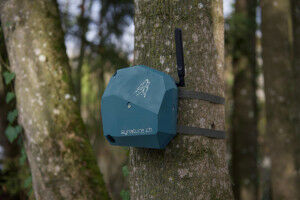 Intelligent microphones track wild animals