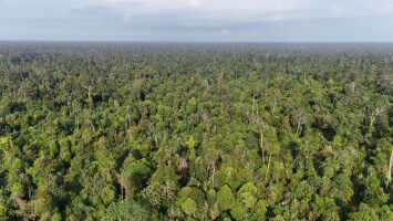 International awards for researchers at the G�ttingen Campus