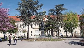 International Conference 