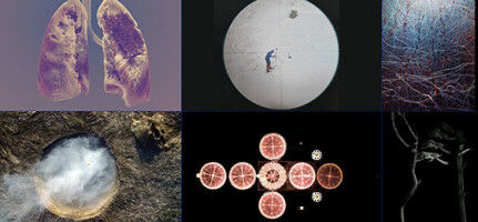 Intriguing scientific insights