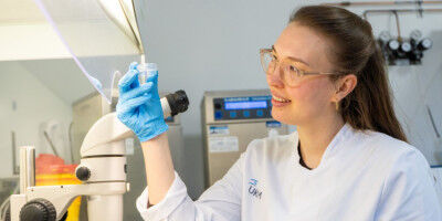 Investigating the pathways to a successful pregnancy